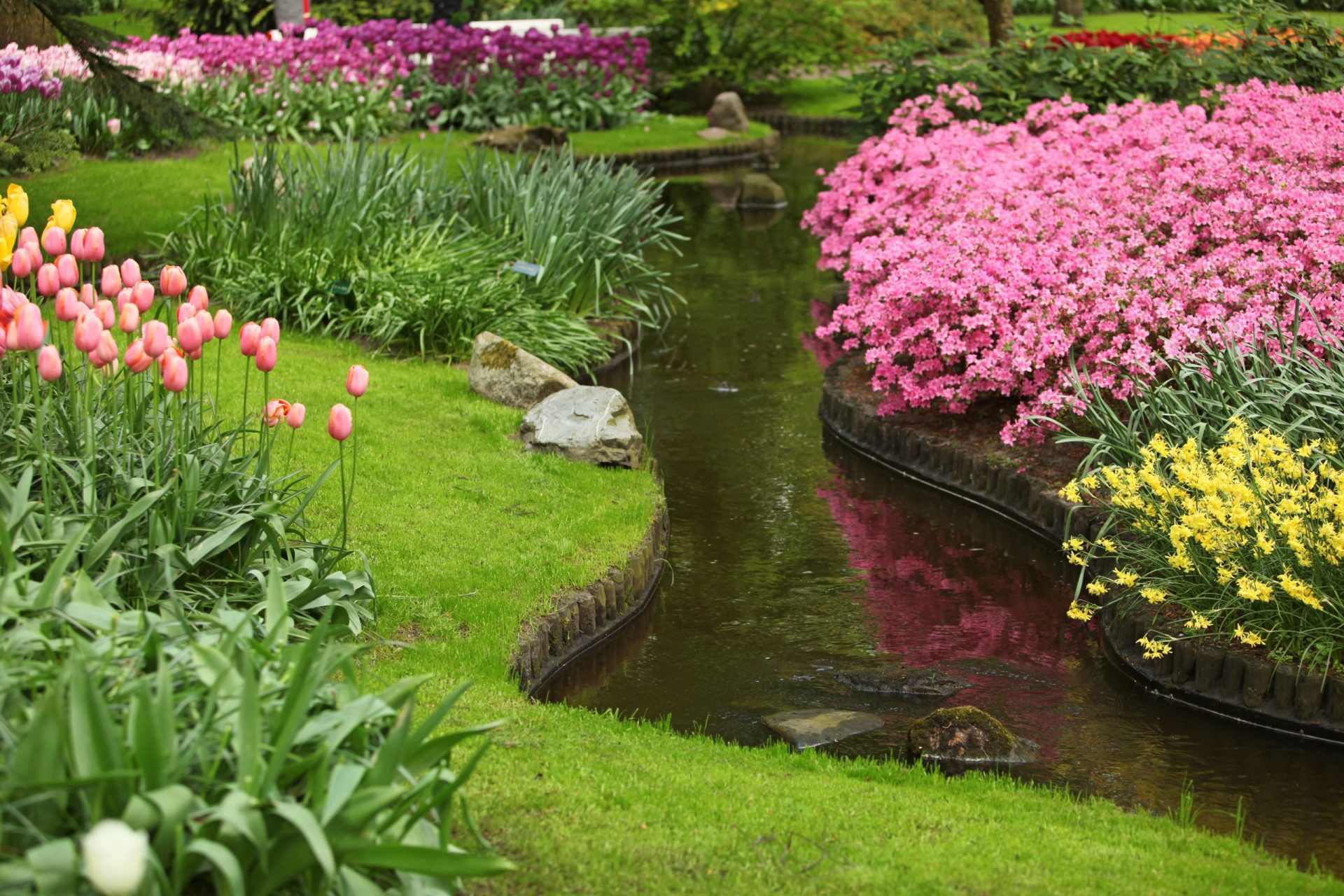 Winding Stream