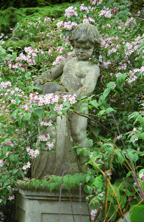 Statue among the Roses