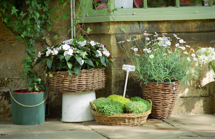 Flower shop