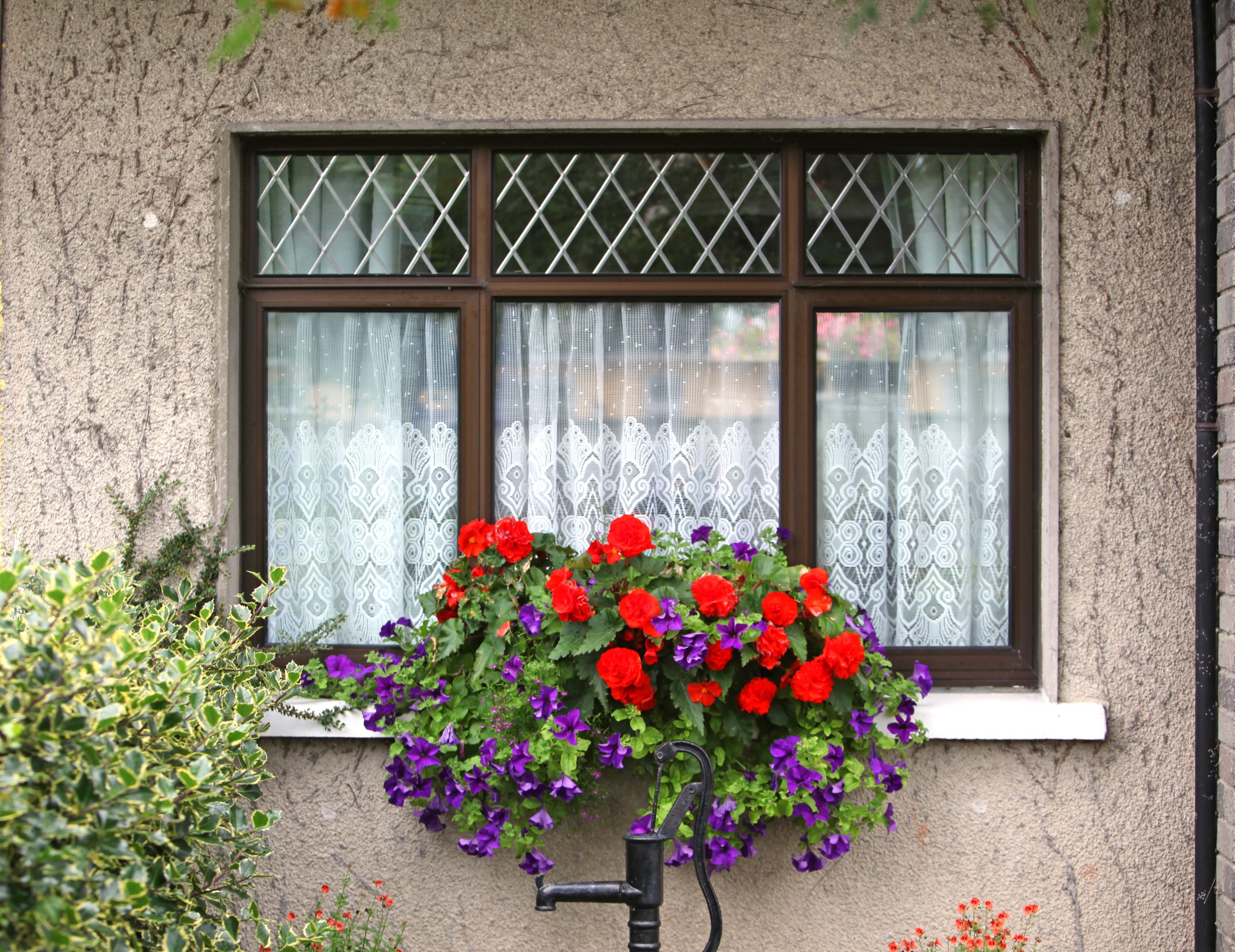 January Adare, Ireland